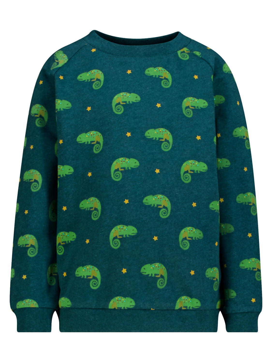 Pullover Grau mit kleinen Chamäleons und Sternen, kindgerechtes Design, komfortabel und nachhaltig, ideal für den Alltag aktiver Kinder bei bellybutton.