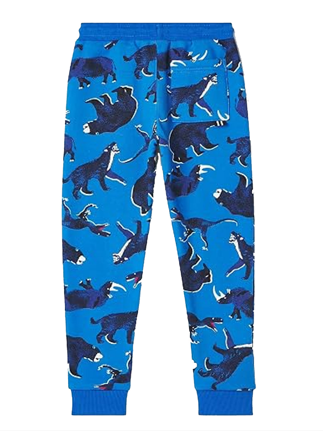 Blue jogging pants