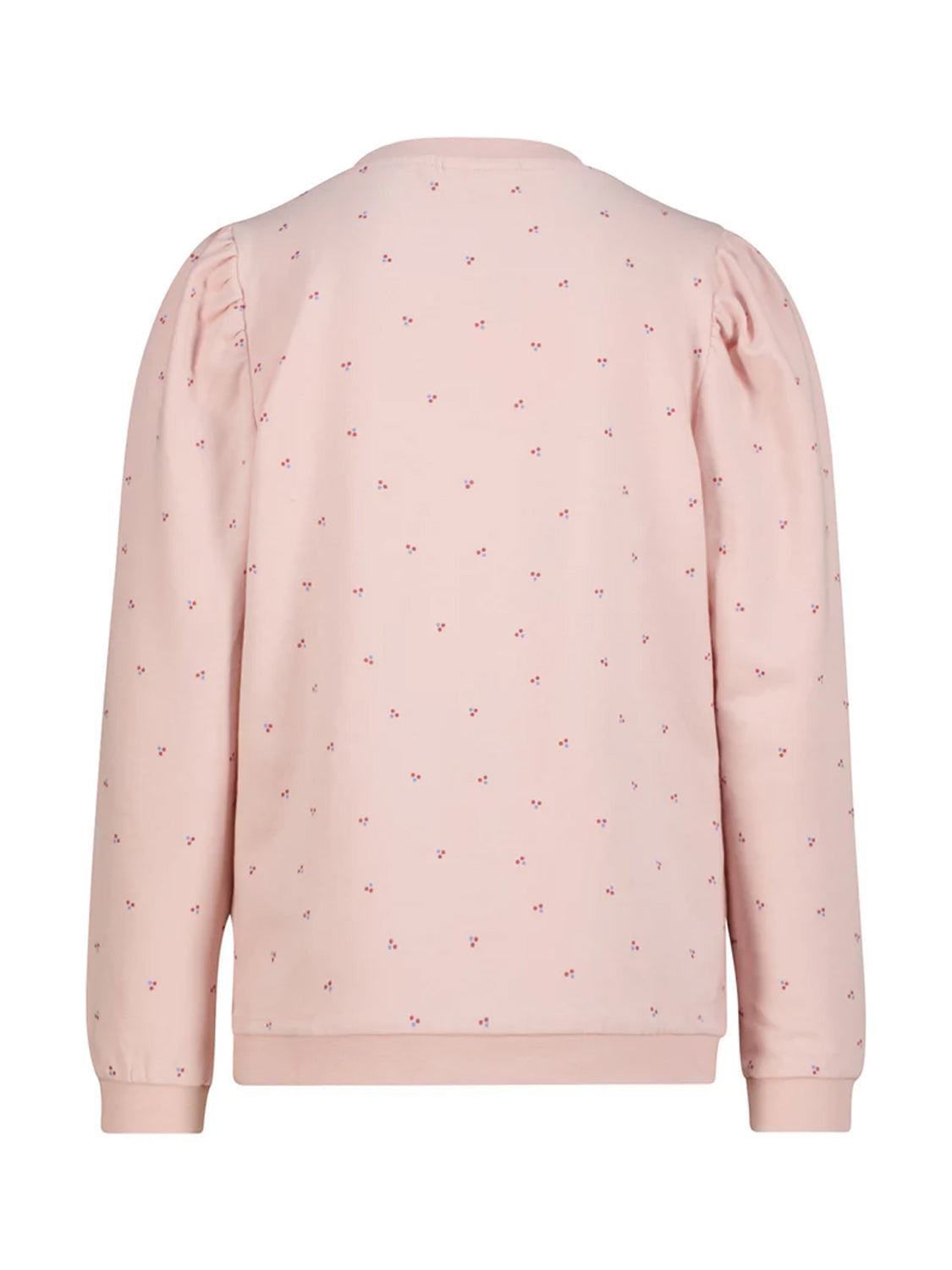 Sweatshirt Pink