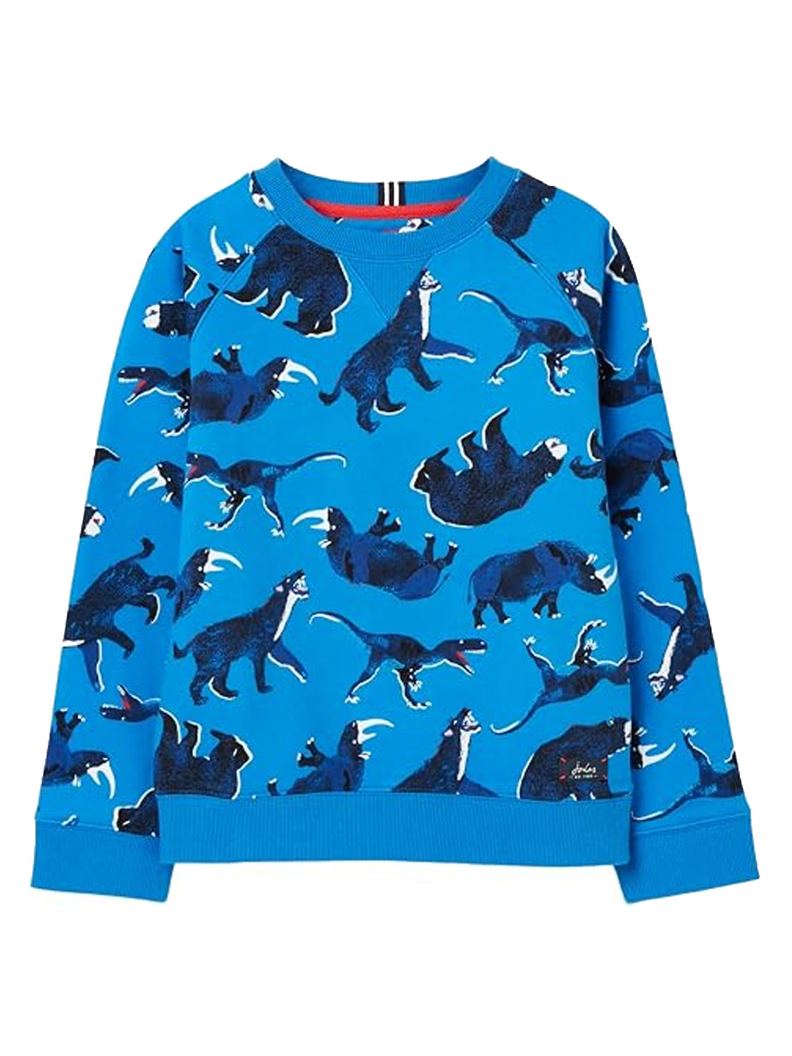 Sweatshirt Blue