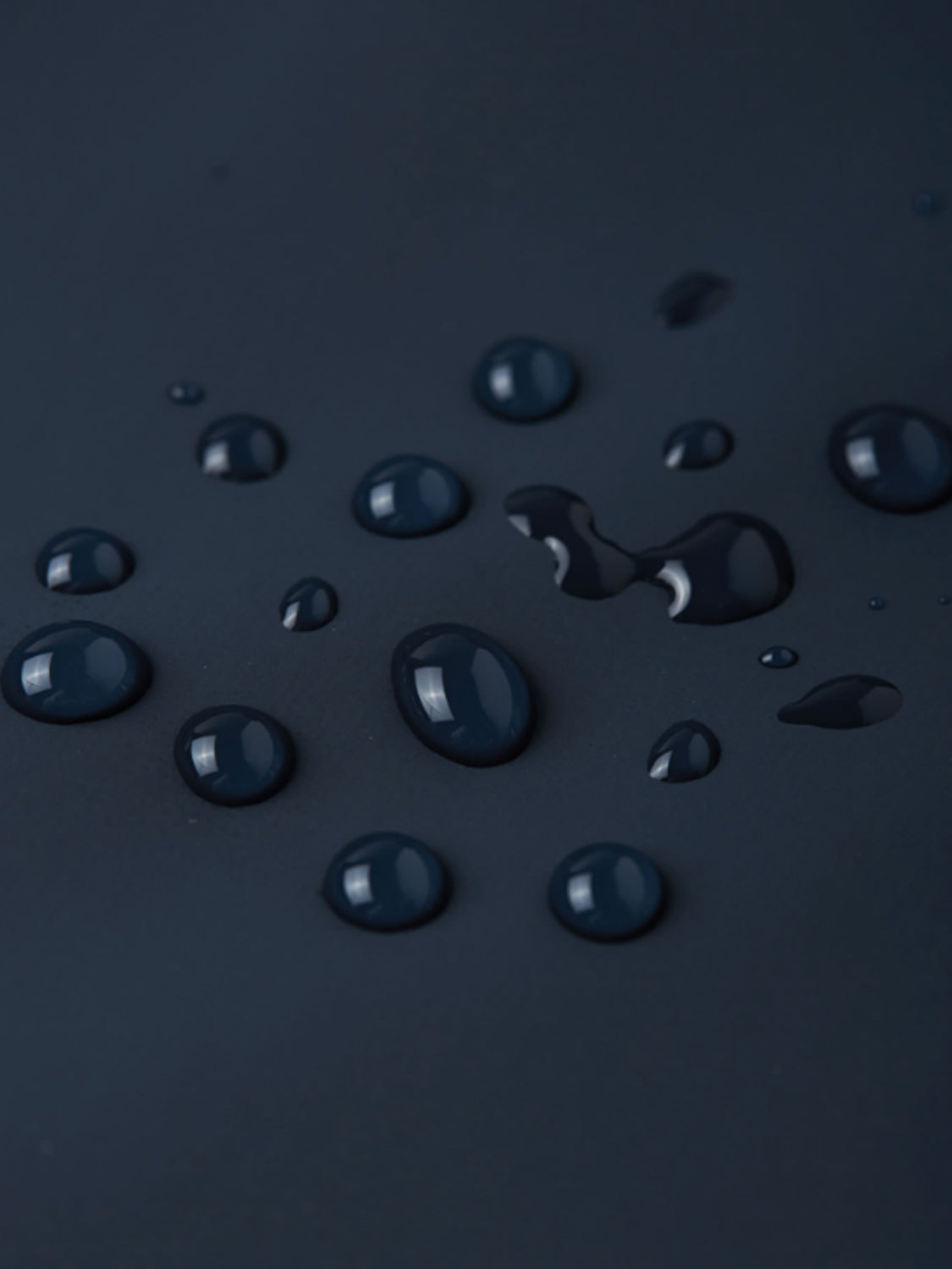 3004172665-8.jpg