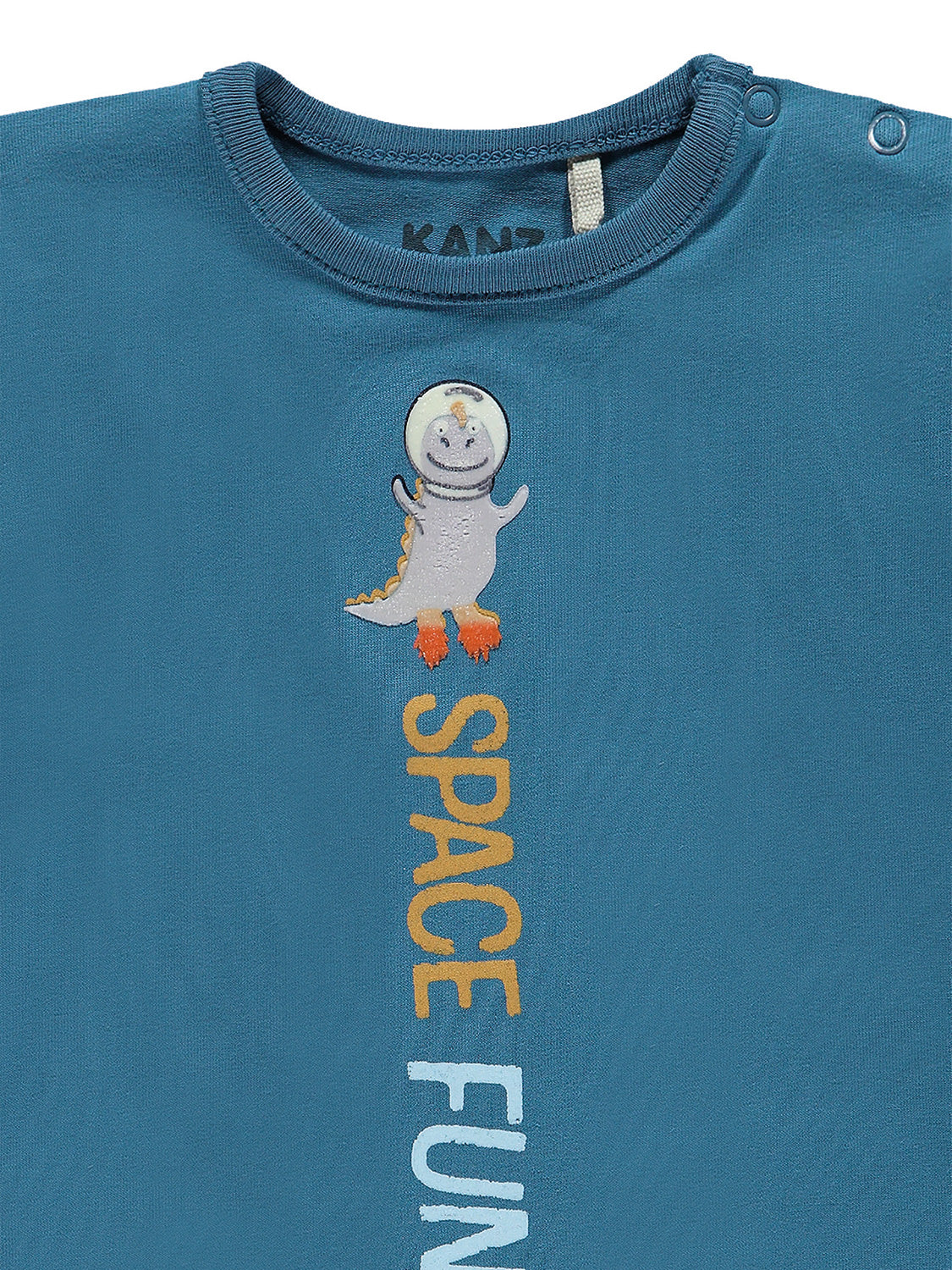 3102455542-1.jpg