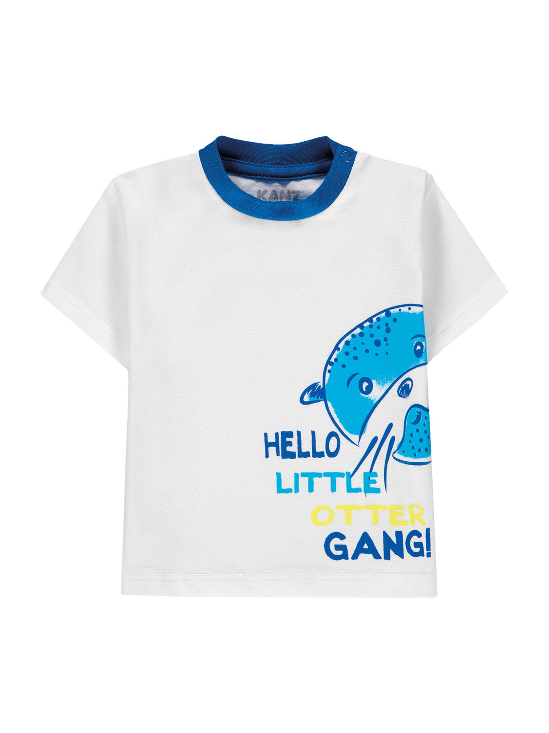 3104851582-2.jpg