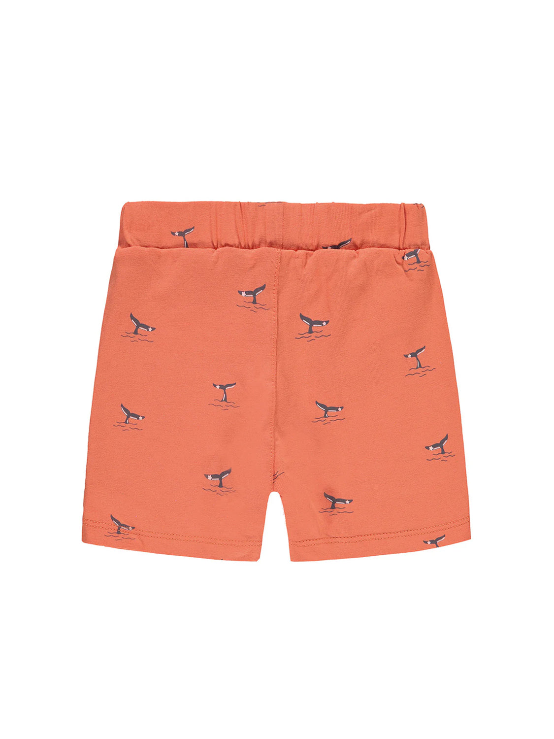 Shorts Mehrfarbig