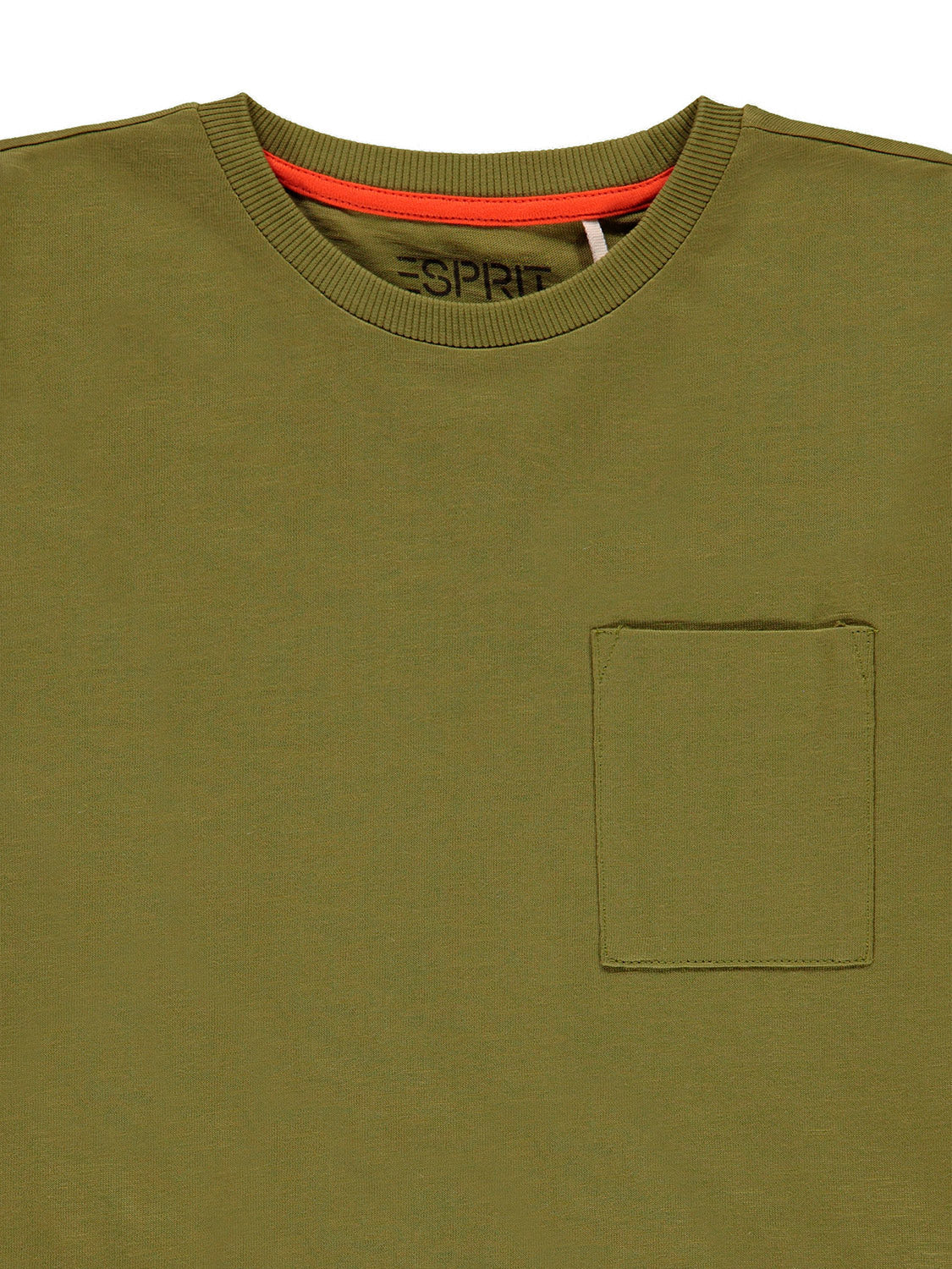 3501681143-7.jpg