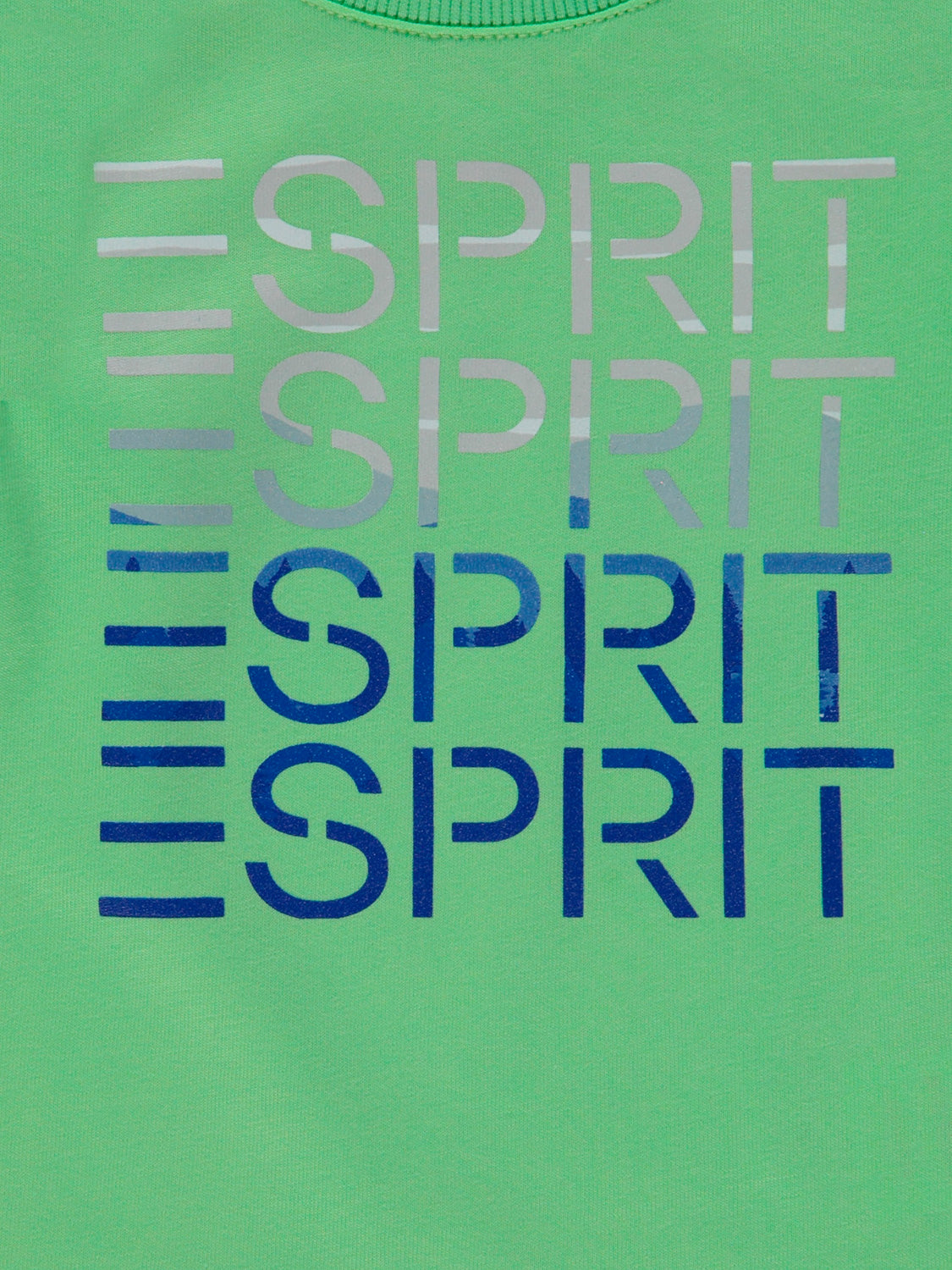 3502783886-3.jpg