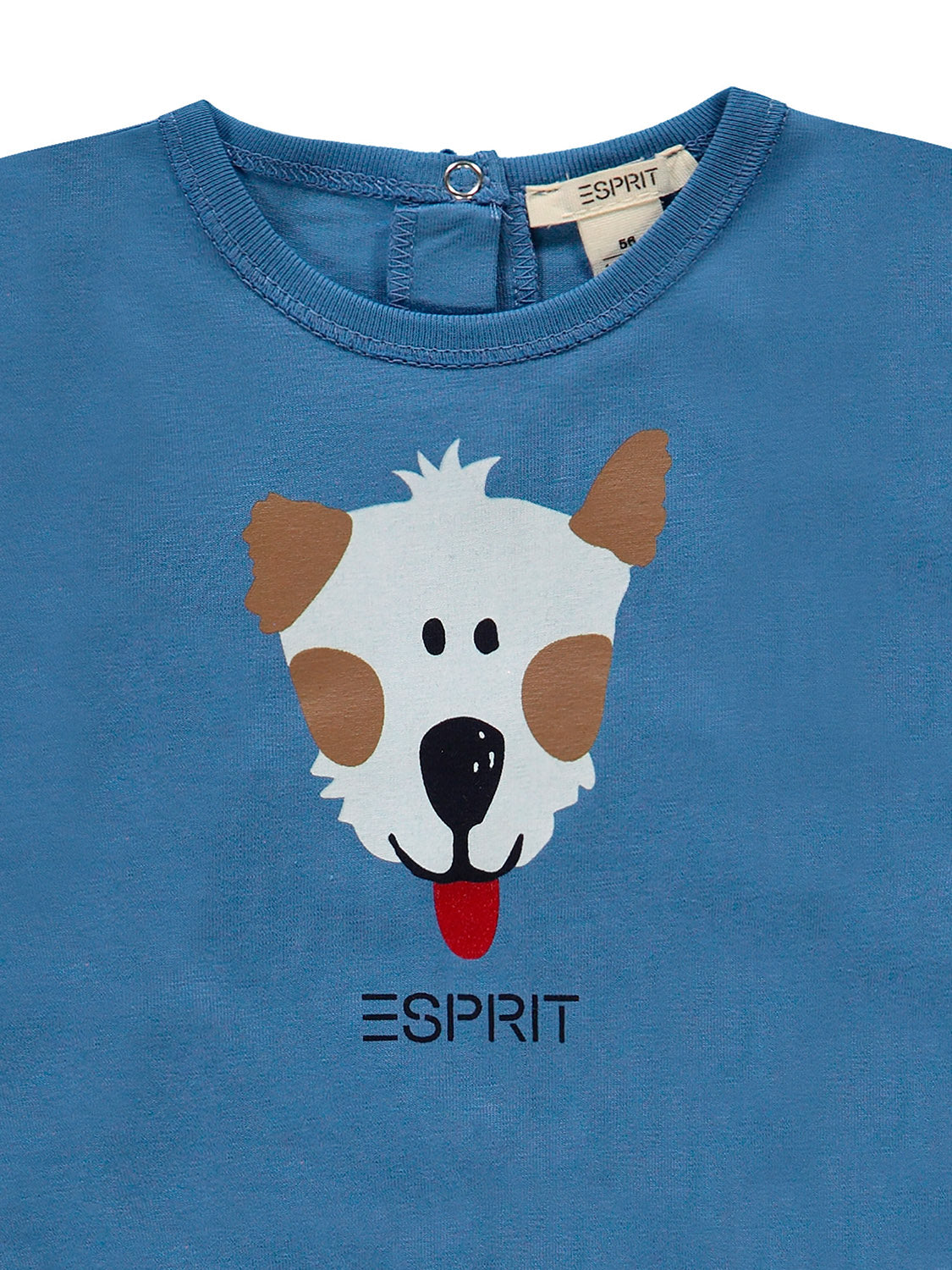 3503781934-7.jpg