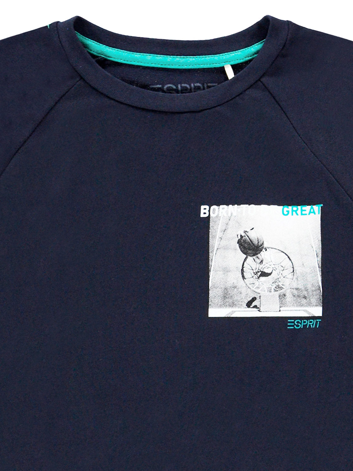 3506393077-7.jpg