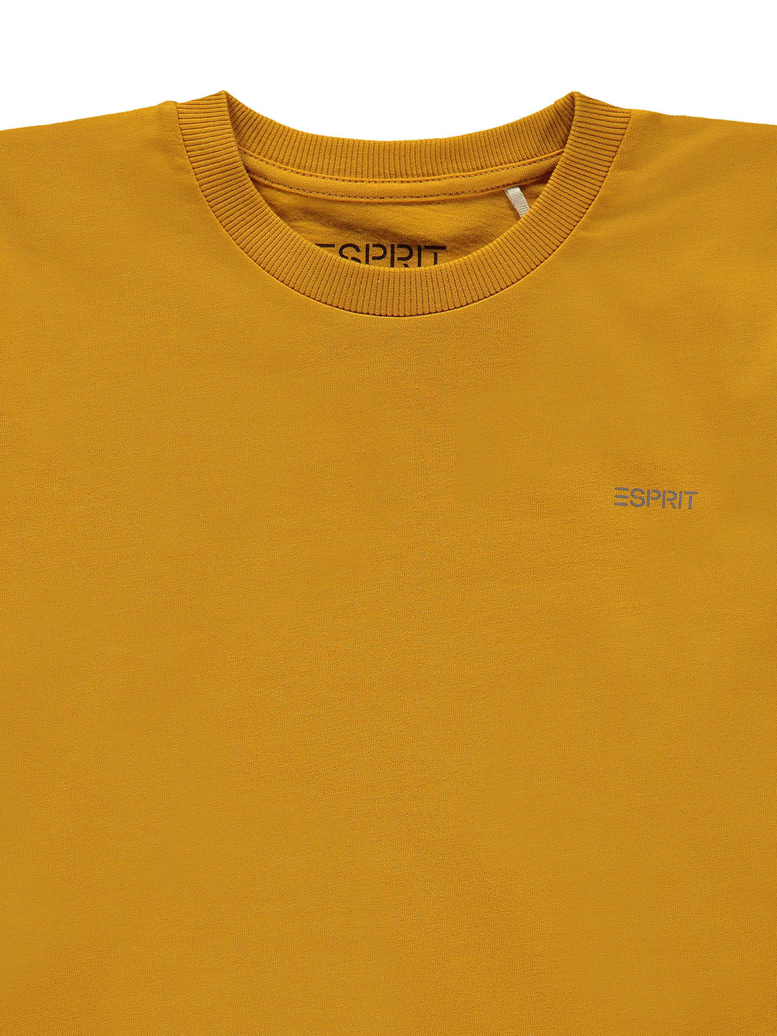 3506420370-7.jpg