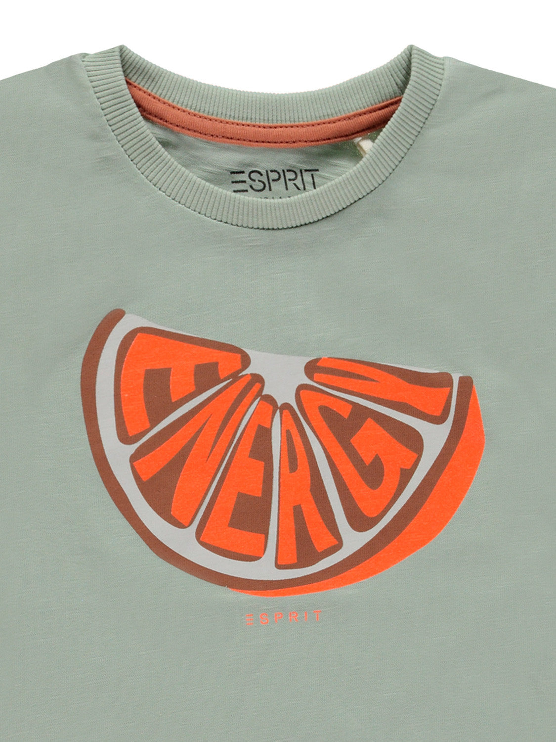 3506501417-7.jpg