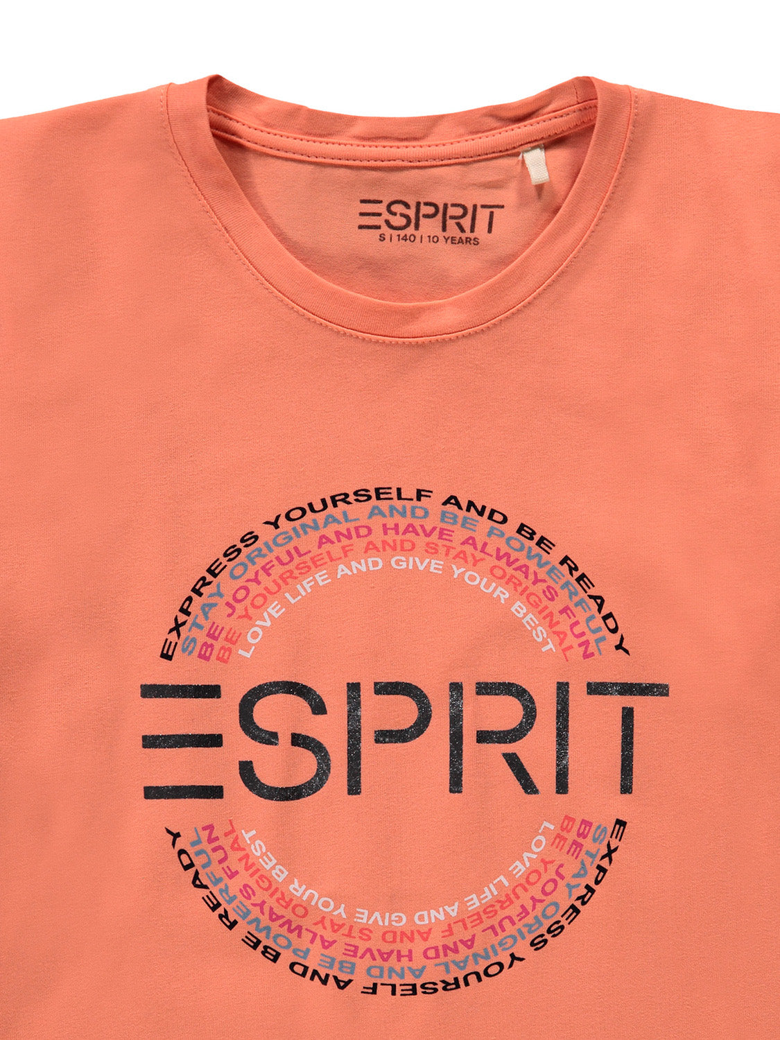3506967252-7.jpg
