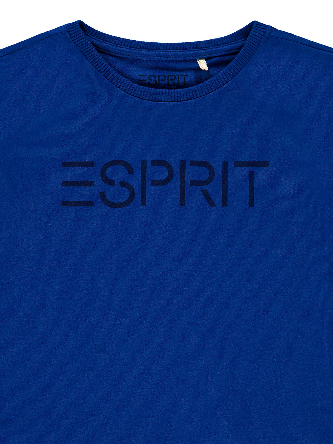 3508841824-3.jpg