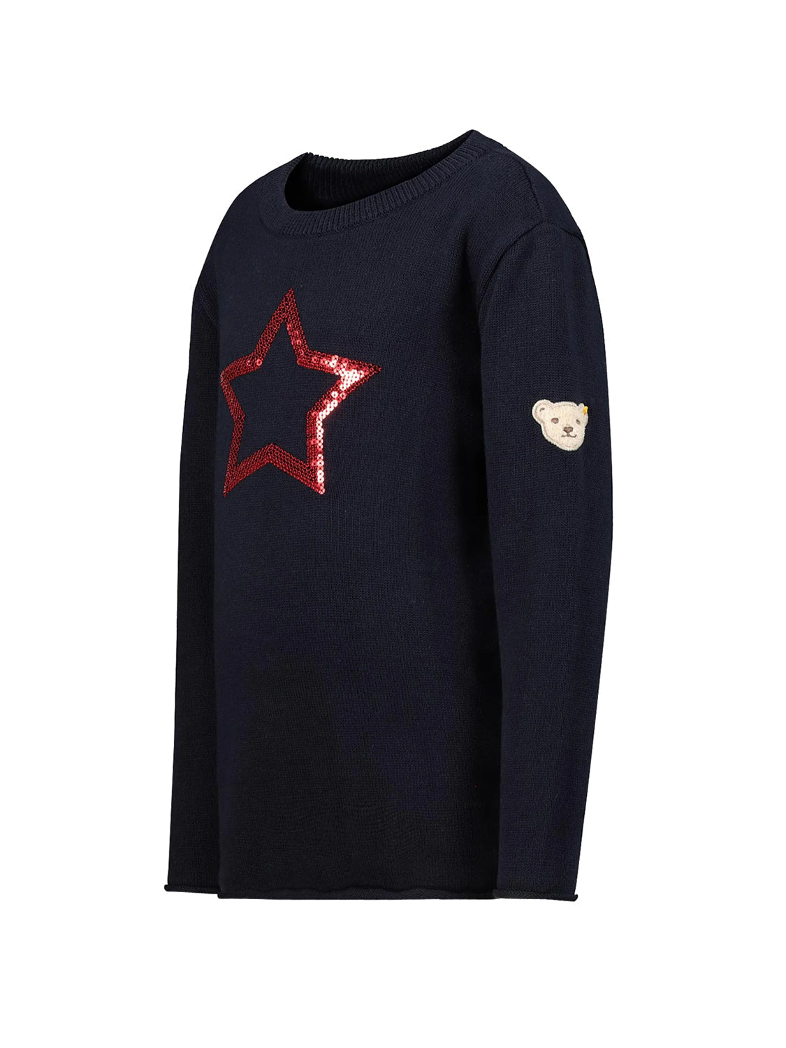 Pullover Blau