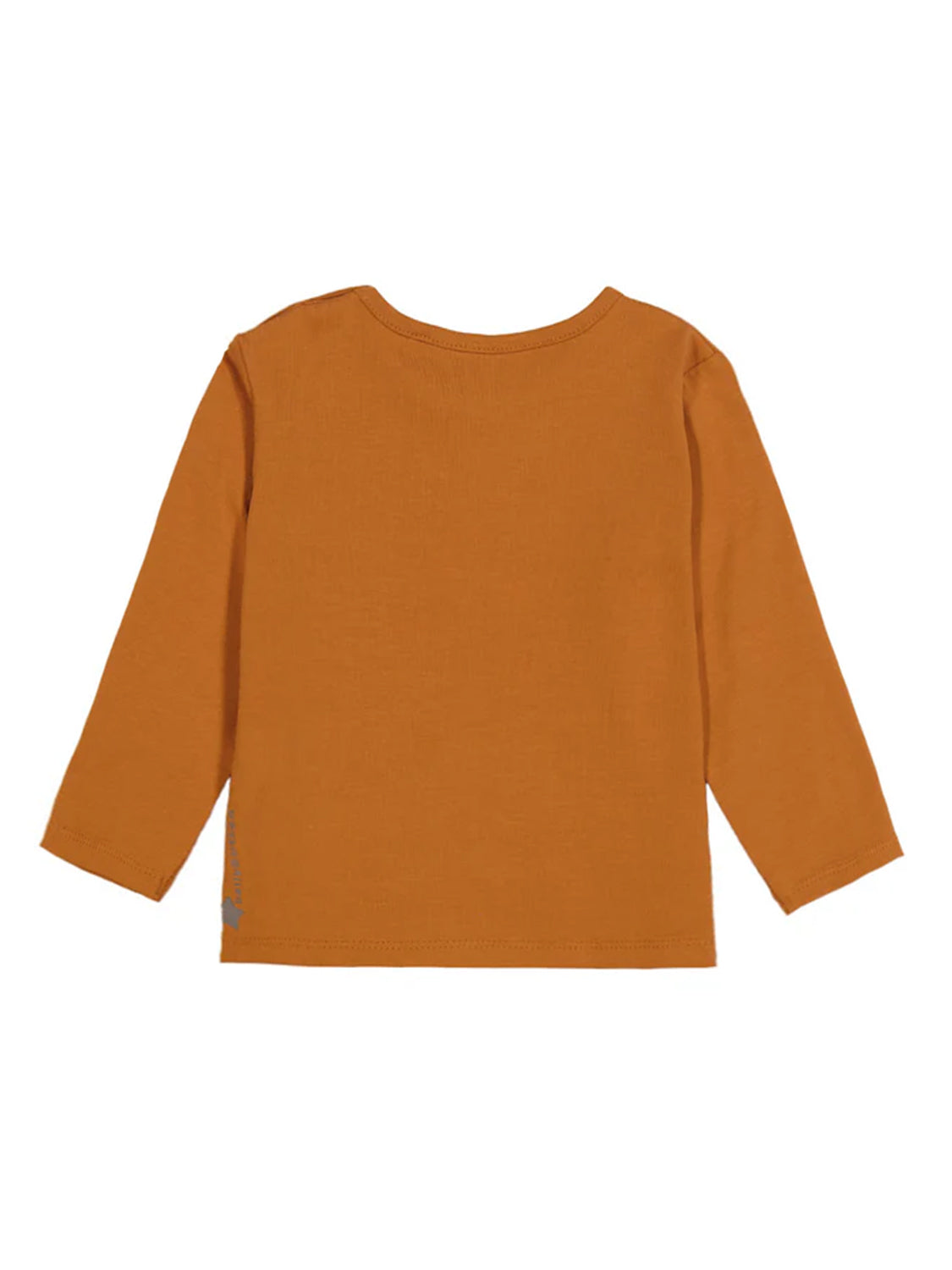 Longsleeve Crazy Dog Camel