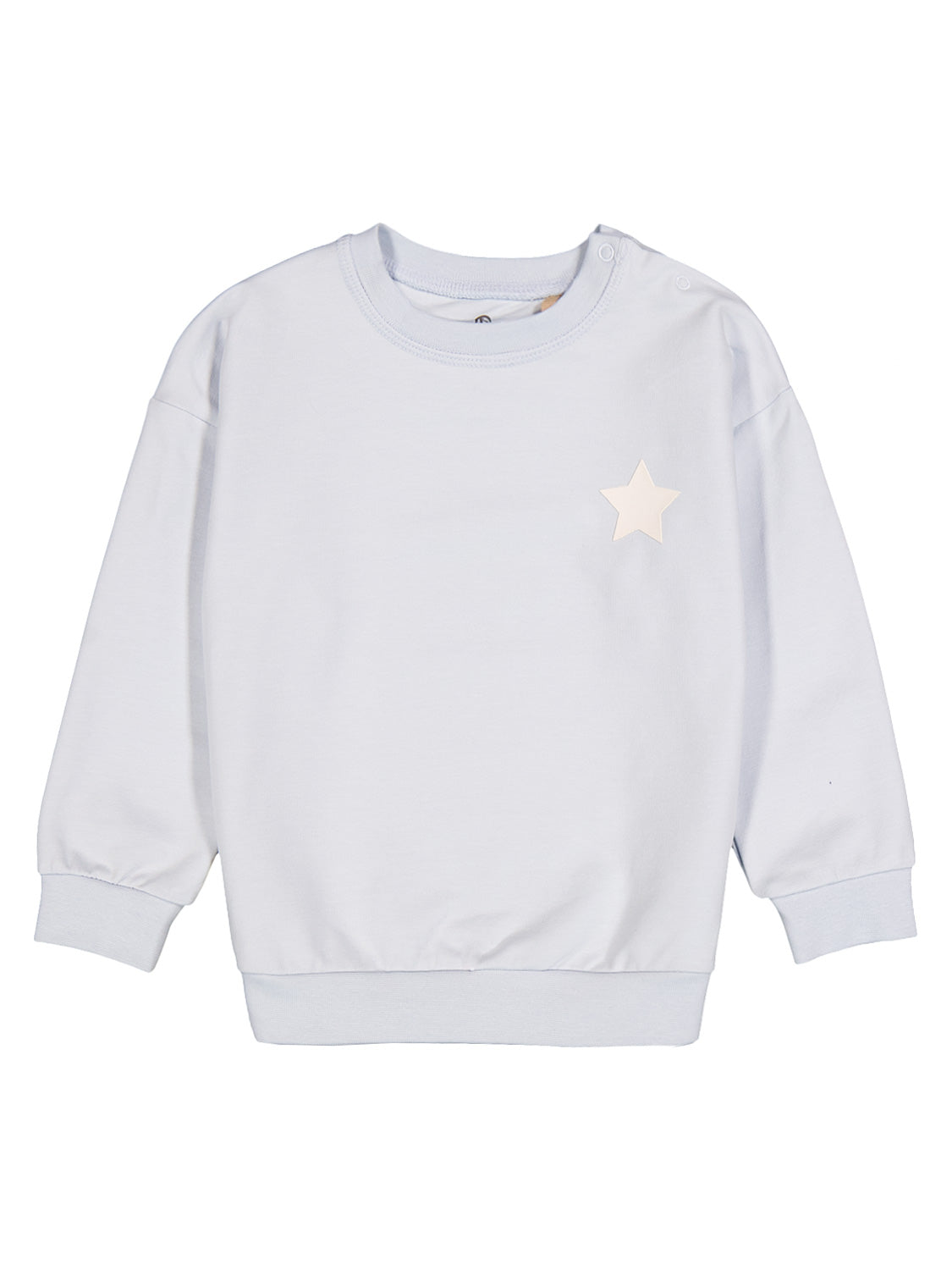 Sweatshirt Hellblau: Langarm-Pullover für Babys mit gerippten Bündchen, Rundhalsausschnitt mit Druckknöpfen an der Schulter und kleinem Sternaufdruck auf der Brust.