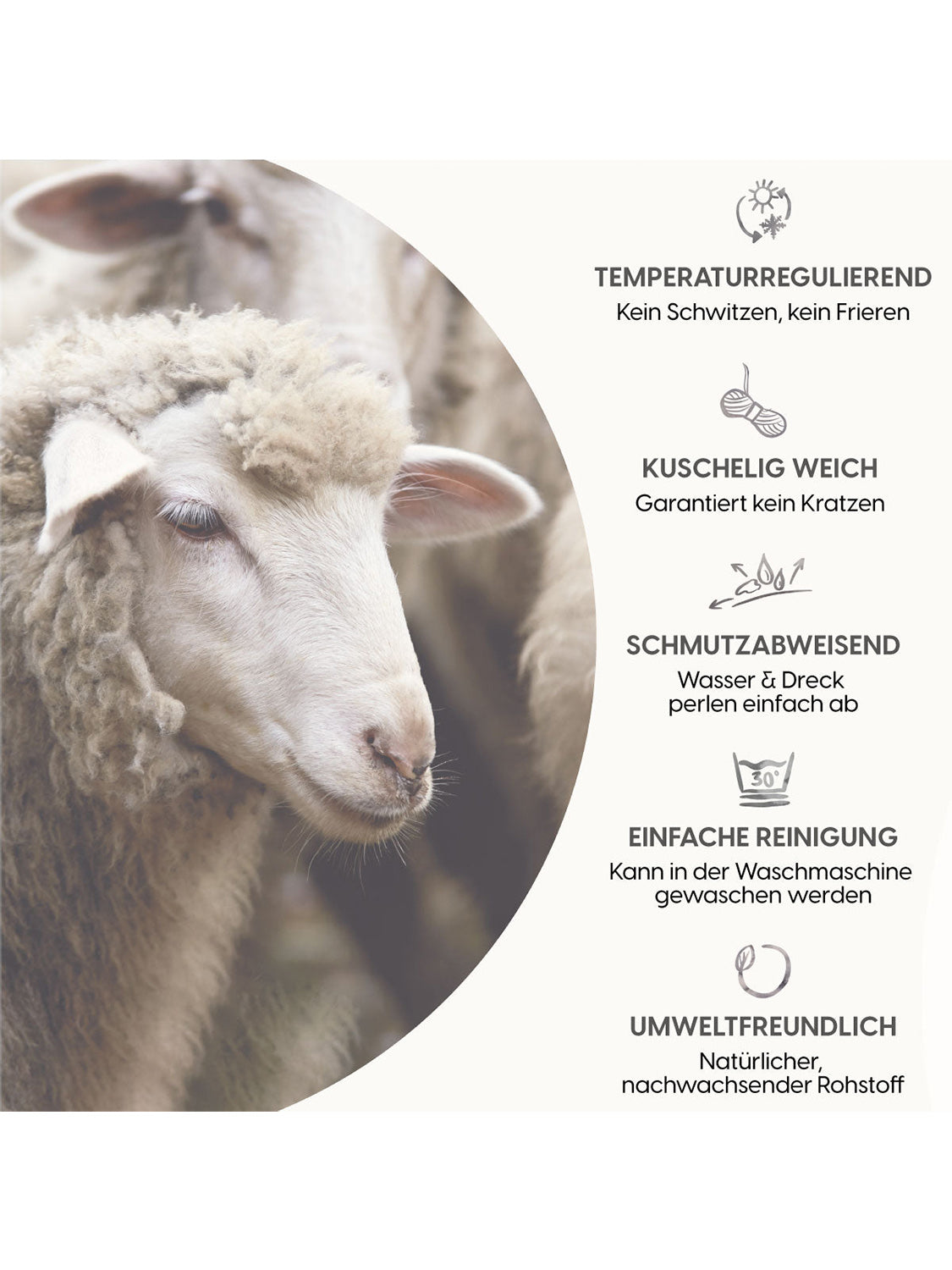 THE WOOLLY BEANIE - sage