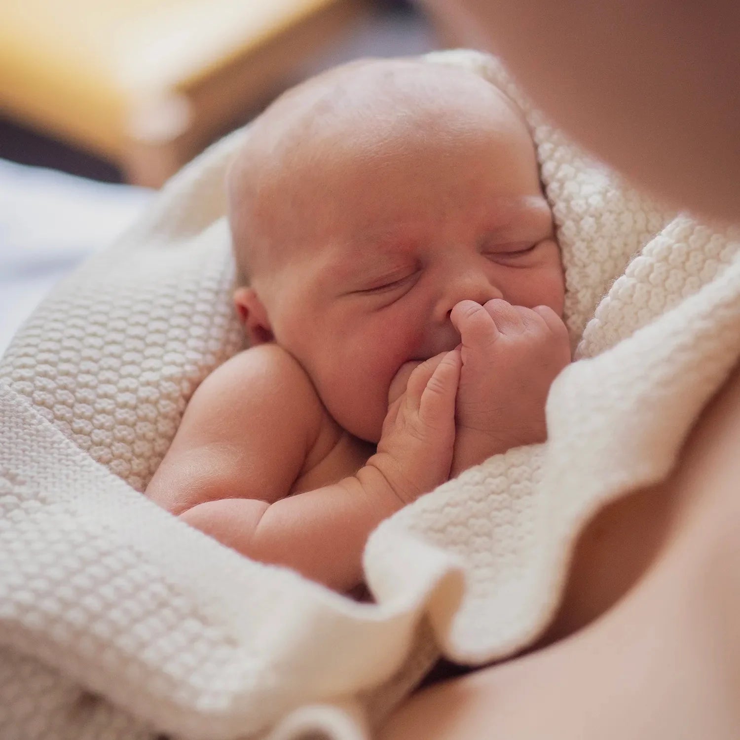 THE WOOLLY BLANKET - pure