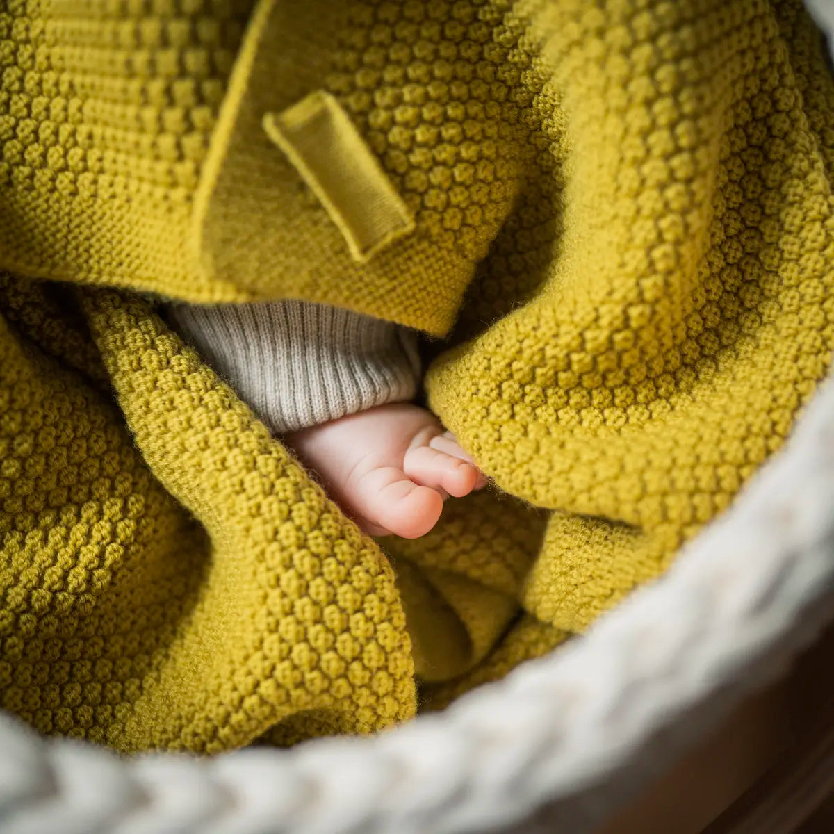 THE WOOLLY BLANKET - quince