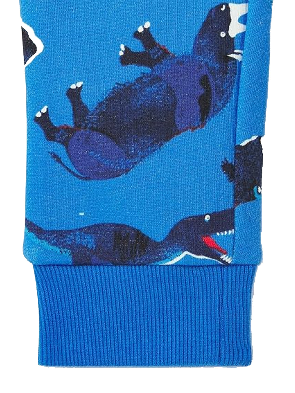Blue jogging pants