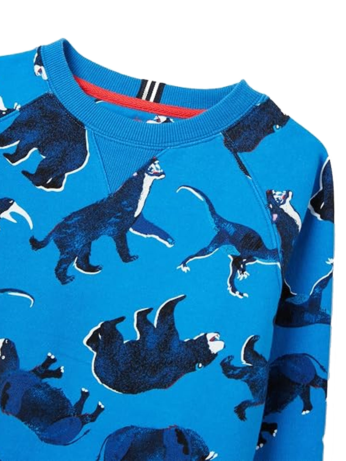 Sweatshirt Blue