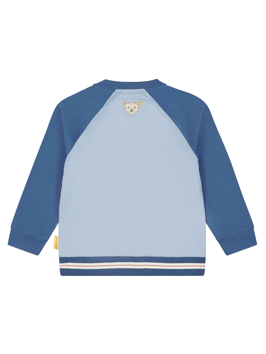 Blue sweatshirt