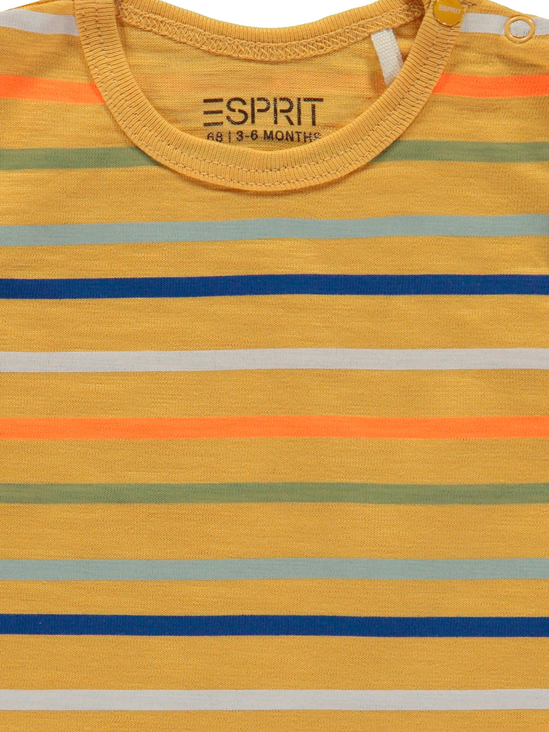 3104511720-3.jpg
