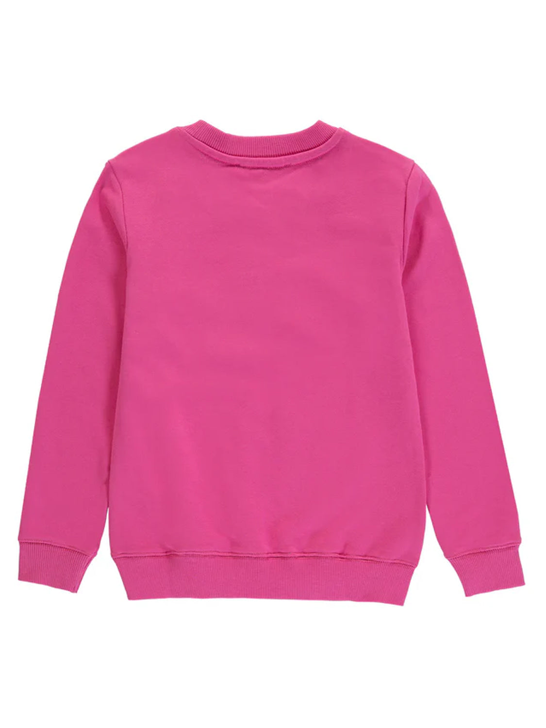 Sweatshirt Pink