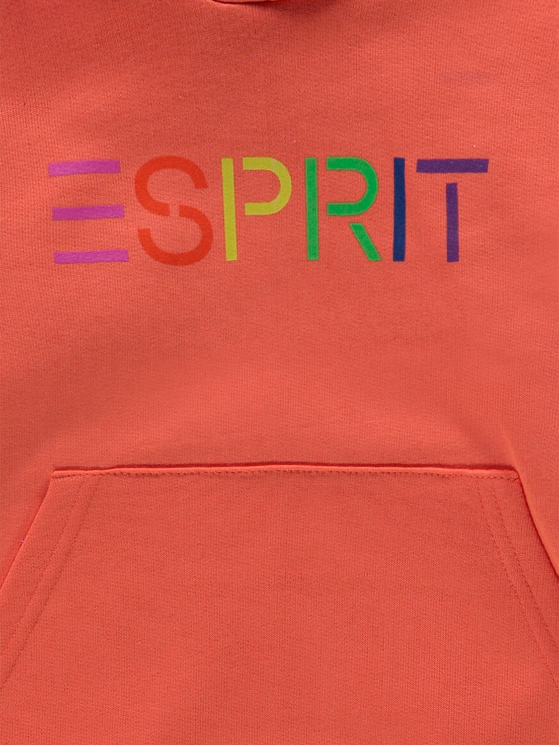3108482239-2.jpg