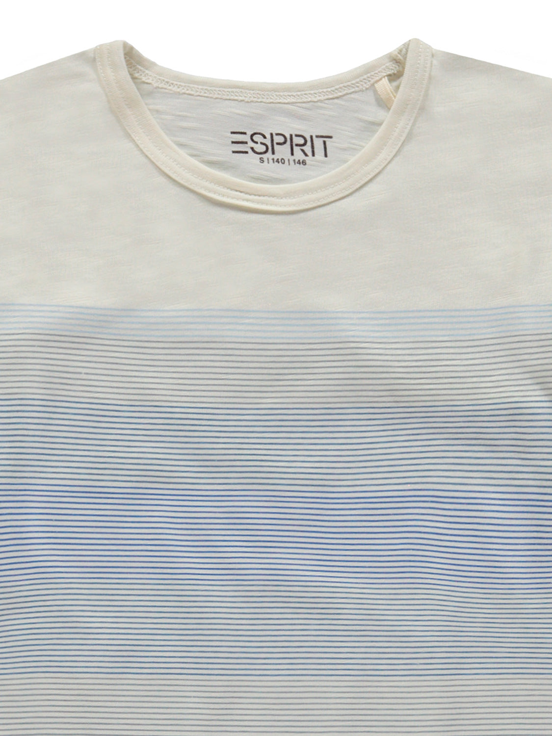 3500767209-3.jpg