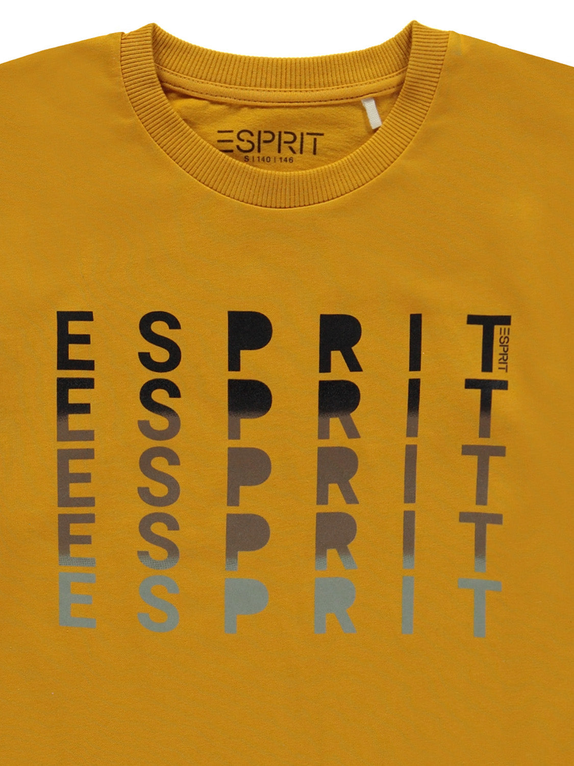 3502329370-7.jpg