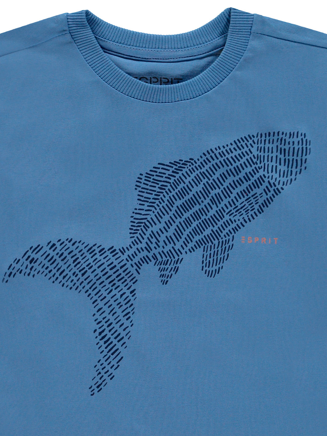 3503154012-3.jpg