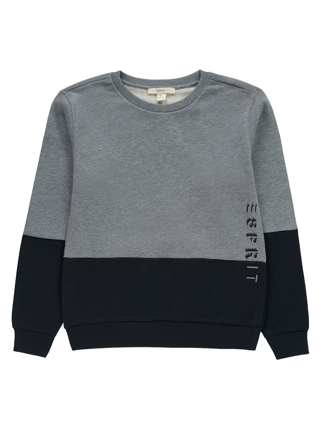3505073662-1.jpg