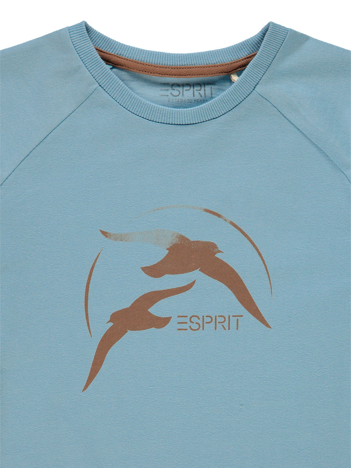 3508691526-7.jpg