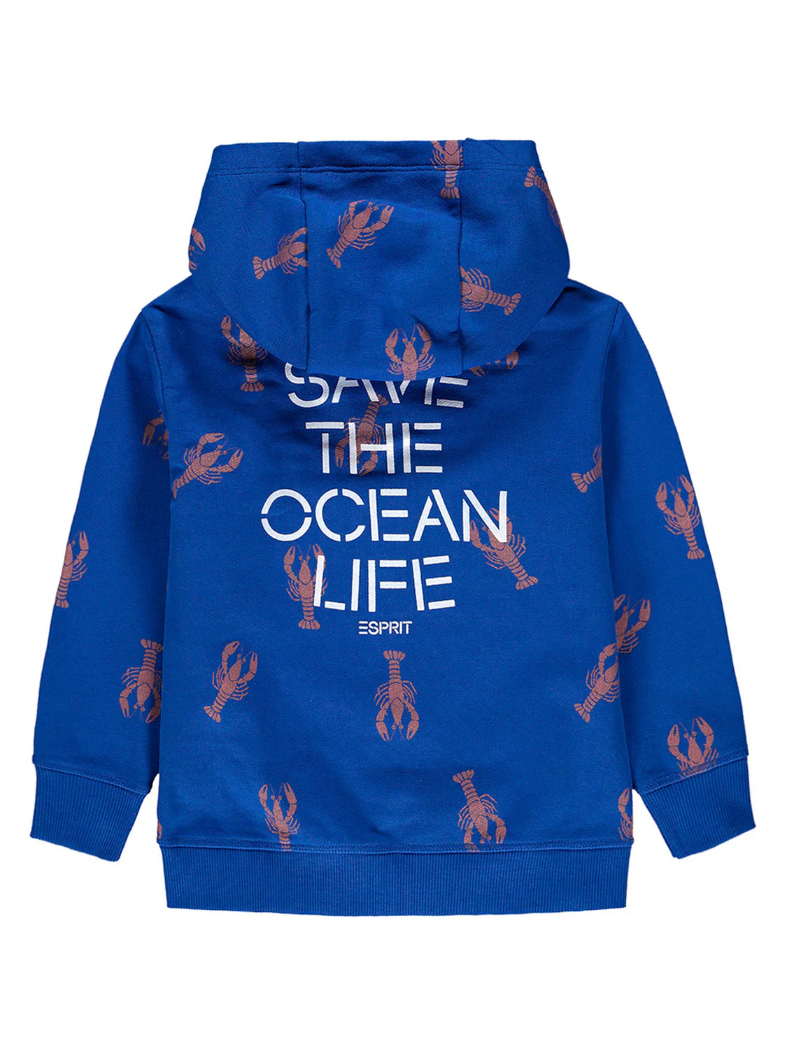 Sweatjacke Blau