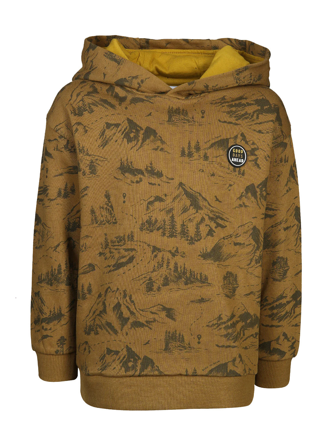 Hoodie Grün