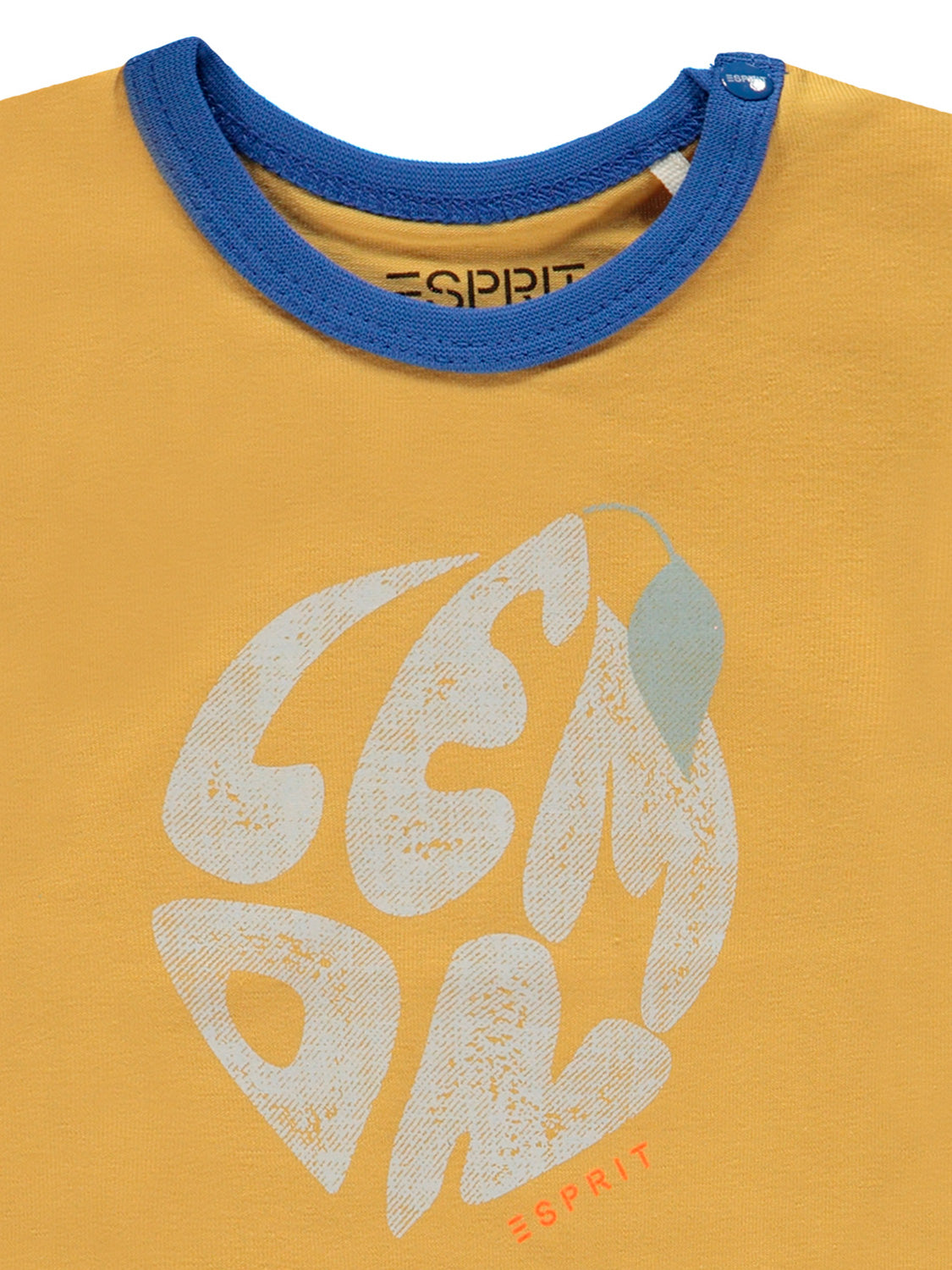 7108425720-8.jpg