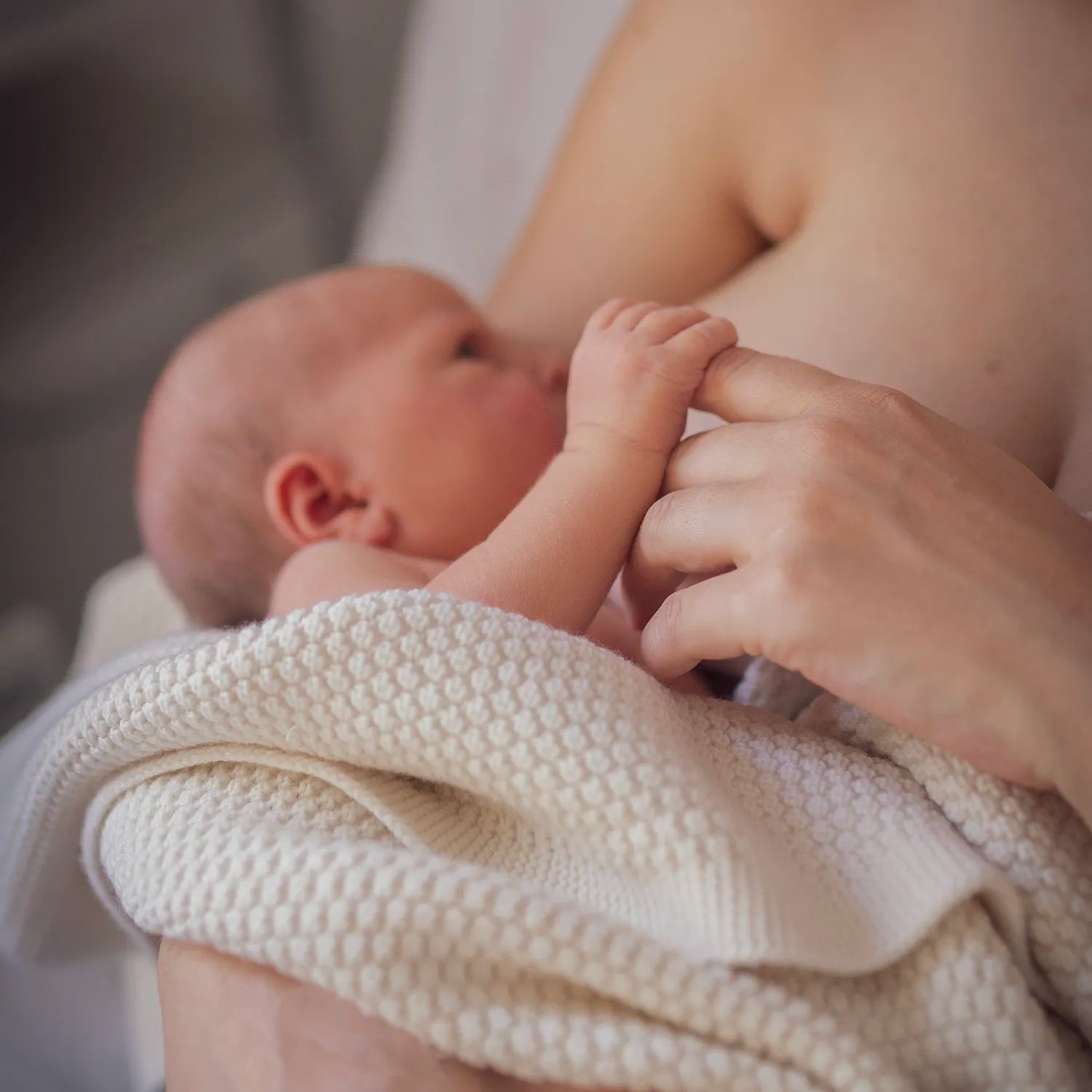 THE WOOLLY BLANKET - pure