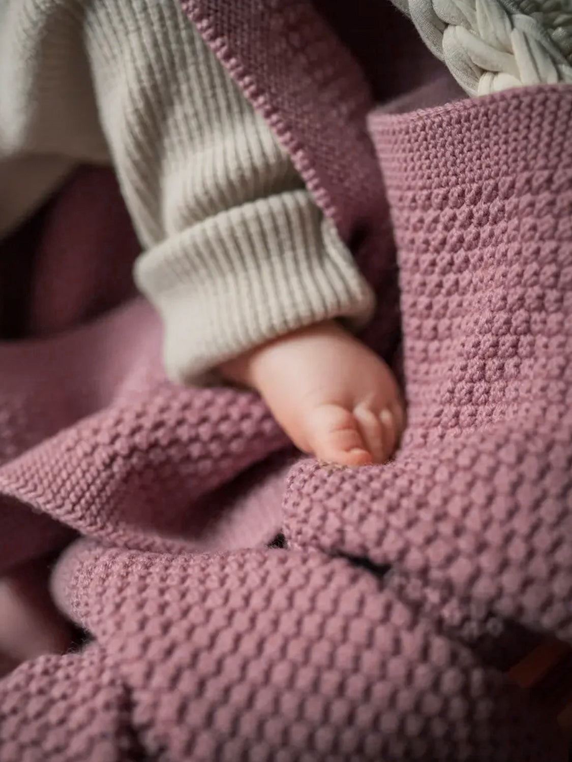 THE WOOLLY BLANKET - rose