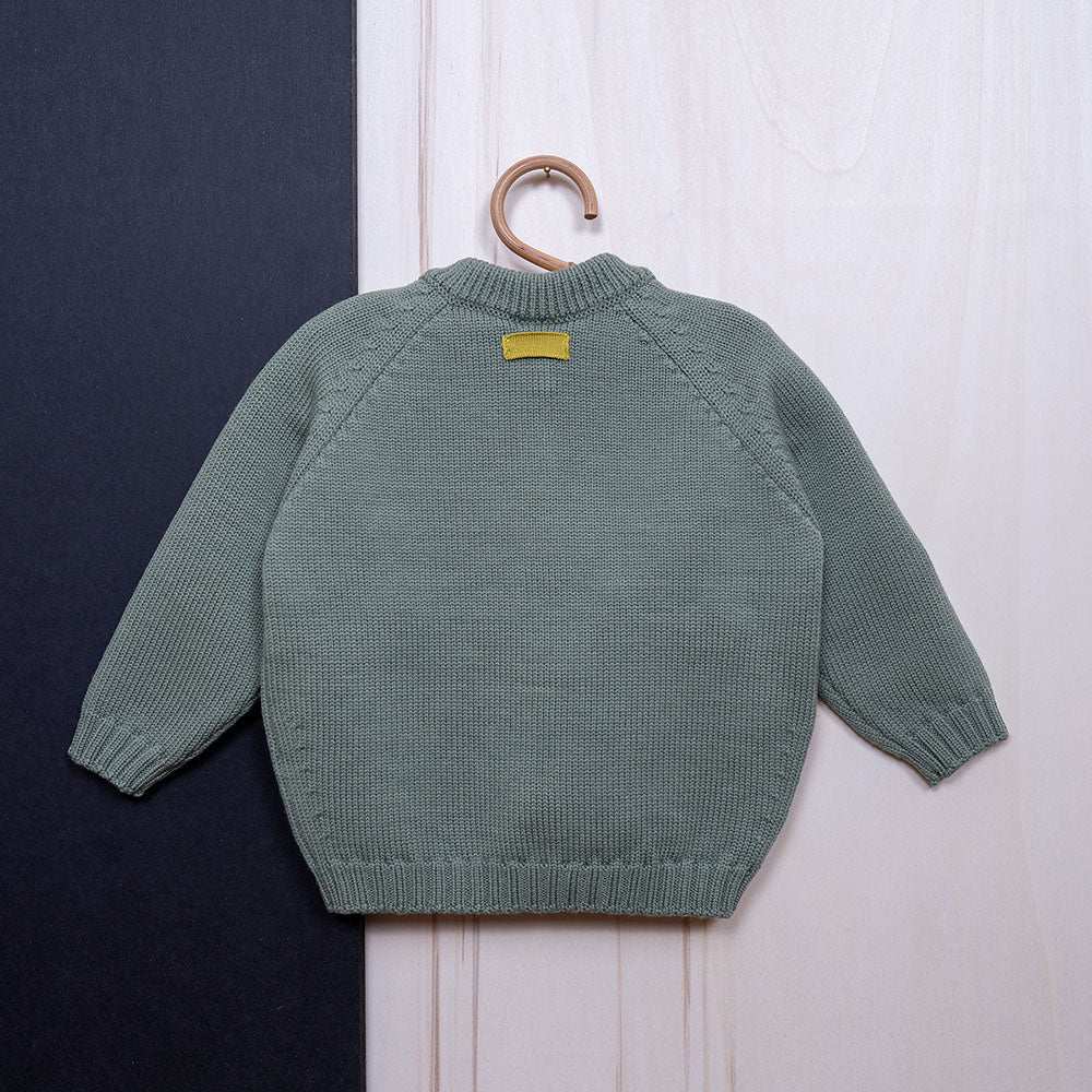 the woolly cardigan - sage